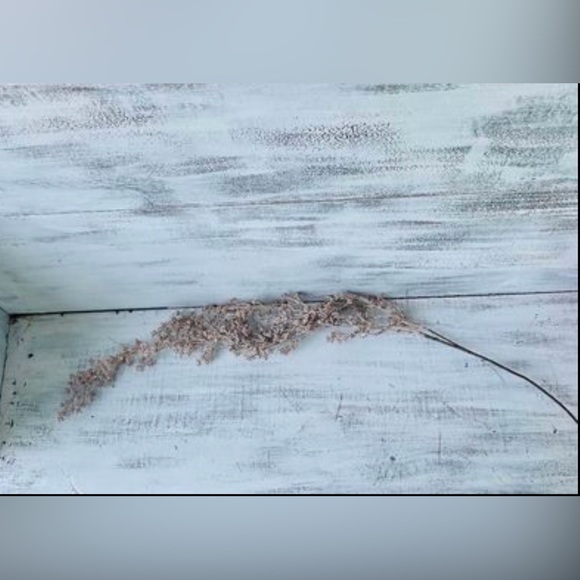 *Mini Dried Berries Spray - Picture 6 of 10